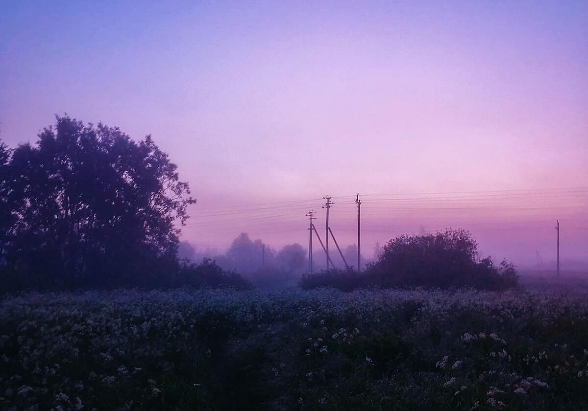王楚钦、孙颖莎领衔澳门世界杯国乒参赛名单